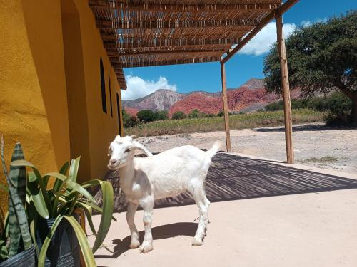Huerta Las Señoritas – Photos 3