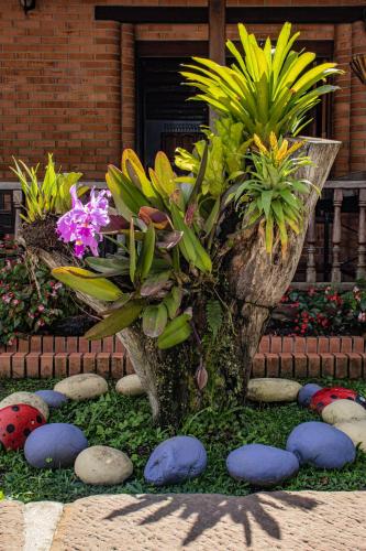a planter with flowers and rocks in a garden at Rincon Oibano in Oiba