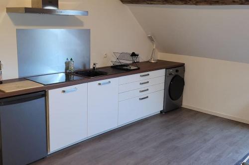 uma cozinha com um lavatório e uma máquina de lavar roupa em 50m² entièrement neuf 