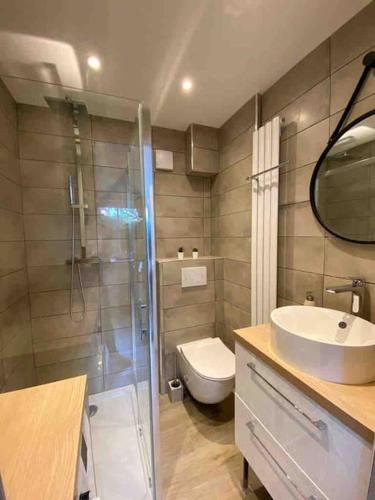 une salle de bain avec une douche, un lavabo et des toilettes dans l'établissement Le coeur du Cap d'Antibes - Terrasse - Parking - Wifi, à Antibes