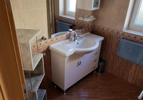 a bathroom with a sink and a mirror at Willa Trojka in Novigrad Istria