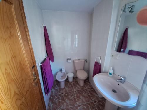 La petite salle de bains est pourvue de toilettes et d'un lavabo. dans l'établissement LA CAÑADA, à Alcalá del Júcar