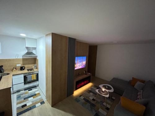 a living room with a couch and a tv in a kitchen at Sova studio apartment Bjelasnica in Bjelašnica