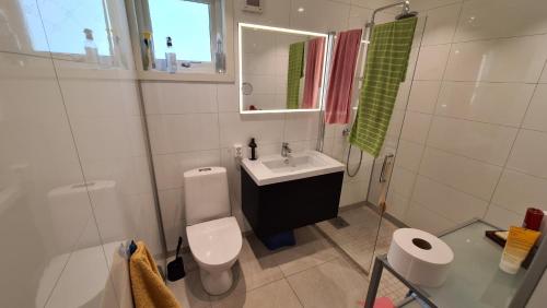 uma casa de banho com um lavatório, um WC e um espelho. em Trolltunga Lodge em Odda