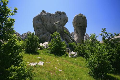 a large rock formation on a grassy hill with trees at Apartments and Rooms Degenija in Starigrad-Paklenica