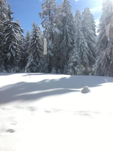 Borovets Chalets – Photos 3
