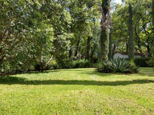 einen Hof mit grünem Gras und Bäumen und ein Haus in der Unterkunft Casa de campo, a 3 minutos de Africam Safari. in Puebla