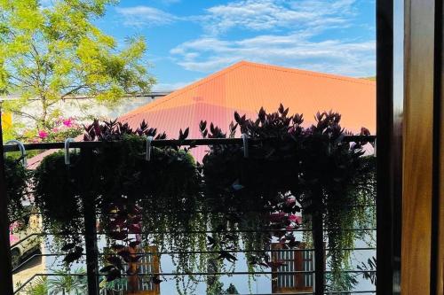 Φωτογραφία από το άλμπουμ του A Luxury Duplex in Dili City, Timor-Leste στο Ντίλι