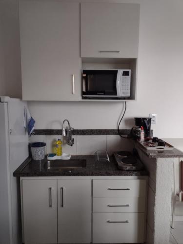 uma cozinha com um lavatório e um micro-ondas em Studio no Centro em Araxá