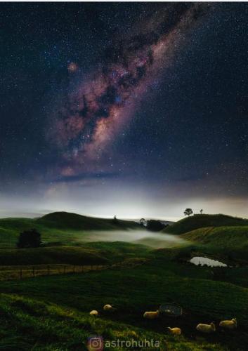 a starry night with the milky way over a field at Hilltop Whakaipo Estate in Taupo