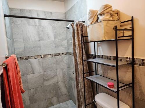 a bathroom with a shower and a toilet at Departamento en planta baja en centro de Cananea in Cananea