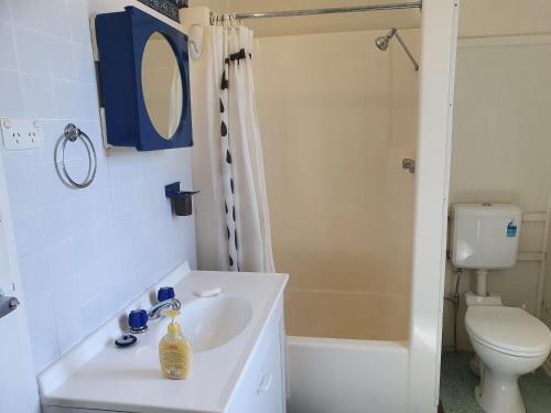 bagno con lavandino bianco e servizi igienici di Parlour Mountain Cottage 