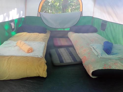 two beds in the back of a tent at Wassana Camp & Khai Jungle Experience Centour in Ban Kraison