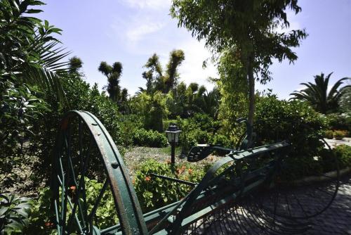 a bike parked in a garden next to a tree at Hotel Tenuta San Francesco in Barletta