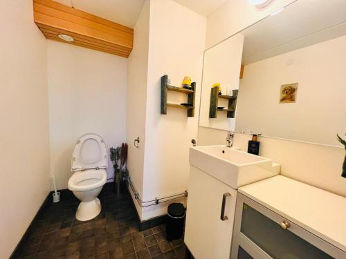 a bathroom with a toilet and a sink at Welcoming shared room with free parking and sauna in Vantaa