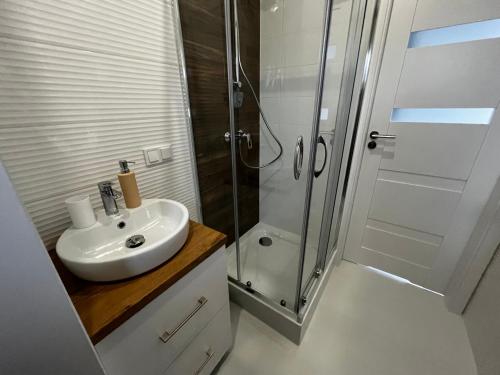 a bathroom with a sink and a shower at Barszczówka - domki, basen podgrzewany, prawdziwe jacuzzi, sauna infrared i inne atrakcje na Podlasiu in Kłyżówka