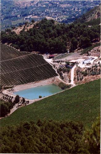 an aerial view of a river in a vineyard at Agriturismo Tenute Pispisa Segesta in Calatafimi
