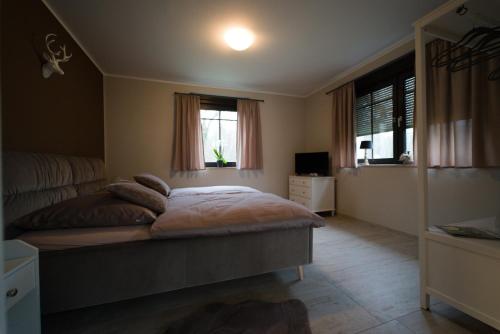 Apartment Leopold في Oranienbaum-Wörlitz: غرفة نوم بسرير ونوافذ