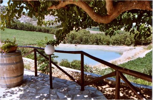 a view of a pool of water with a barrel at Agriturismo Tenute Pispisa Segesta in Calatafimi