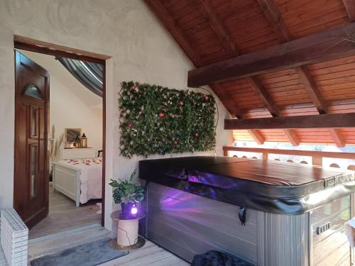 duży akwarium w pokoju z patio w obiekcie Gite avec SPA privé w mieście Drulingen