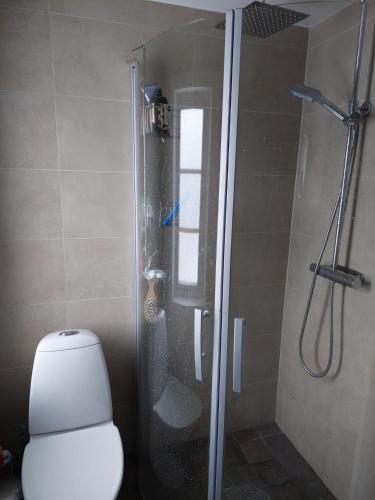 een badkamer met een douche, een toilet en een glazen douchecabine bij Guest room in Uppsala