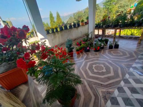 a patio with flowers and plants in pots at Ajit Homestay, Darjeeling in Darjeeling