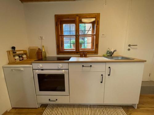 a kitchen with a sink and a stove at Chalet Hike&Bike above Bohinj valley in Bohinj
