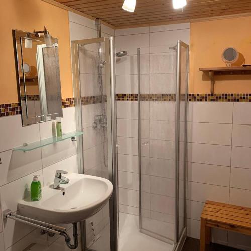 ein Bad mit einem Waschbecken und einer Dusche in der Unterkunft Ferienhaus Summerer in Grafenau