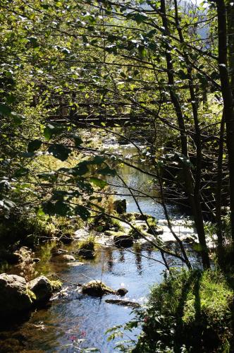 a small stream with a bridge in a forest at Landhaus Eickler in Baiersbronn