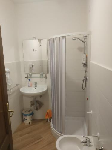 a bathroom with a shower and a sink at Casa porta San Francesco in Alatri