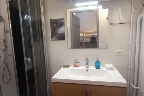 une salle de bain avec un lavabo, un miroir et une douche dans l'établissement Studio en altitude avec terrasse proche Gerardmer, à Xonrupt-Longemer