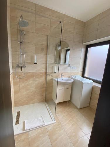 a bathroom with a shower and a sink at Aparthotel Punct pe i in Sighetu Marmaţiei