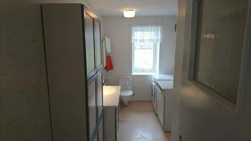 a bathroom with a sink and a toilet and a window at Falkenberg /Vinberg in Vinberg