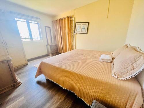 ein Schlafzimmer mit einem großen Bett in einem Zimmer in der Unterkunft Swan Valley Residence in Baie du Tombeau