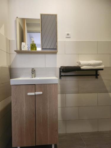 La salle de bains est pourvue d'un lavabo et d'un miroir. dans l'établissement Pied à terre tout confort, à Bar-le-Duc