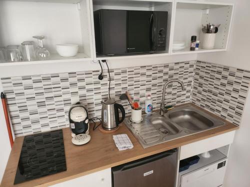 W kuchni znajduje się umywalka i kuchenka mikrofalowa. w obiekcie Pied à terre tout confort w mieście Bar-le-Duc