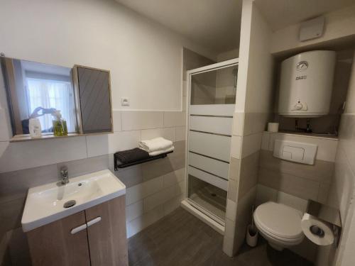 La salle de bains est pourvue d'un lavabo et de toilettes. dans l'établissement Pied à terre tout confort, à Bar-le-Duc