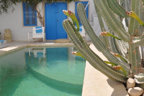 a cactus next to a swimming pool with a cactus at Dar Bibine in Erriadh