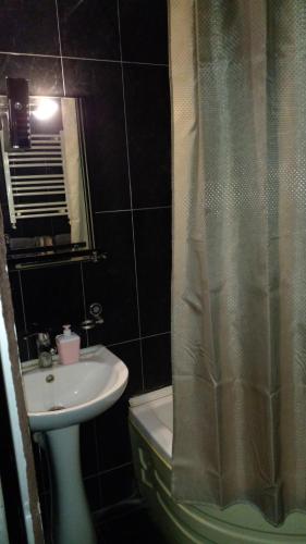 La salle de bains est pourvue d'un lavabo et d'un rideau de douche. dans l'établissement Laila, à Tbilissi