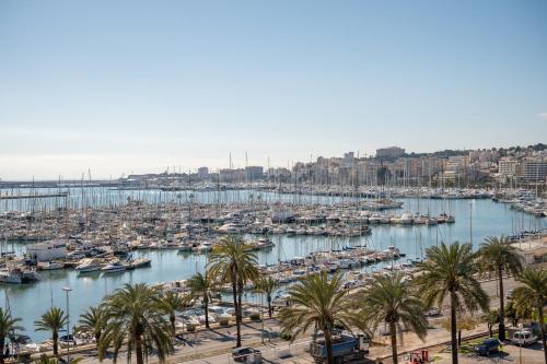 a harbor with palm trees and boats in the water at Moli 37 House - Port View Terrace in Palma de Mallorca