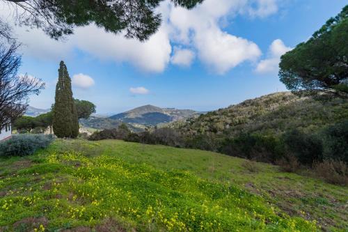 Appartamenti Campo al Pero - Goelba