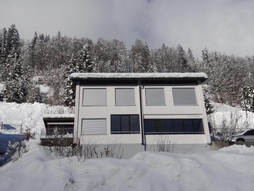 une maison blanche dans la neige avec des arbres dans l'établissement Apartment Barbara Ost by Interhome, à Engelberg