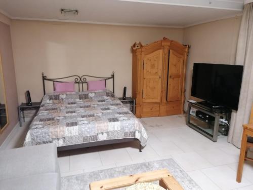 1 dormitorio con 1 cama y TV de pantalla plana en Apartment Curly, en Scheyern