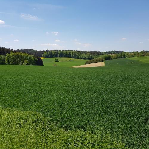 an aerial view of a large green field at Apartment Curly in Scheyern