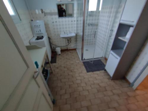 W łazience znajduje się prysznic, umywalka i toaleta. w obiekcie Gîte Chez Jeannot w mieście Azay-le-Ferron