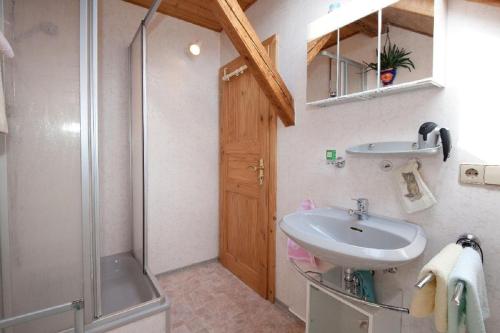 a bathroom with a sink and a shower at Landhof Steinhütte in Bayerisch Eisenstein
