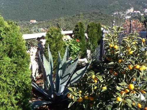 Γενική θέα στο βουνό ή θέα στο βουνό από  αυτή η βίλα