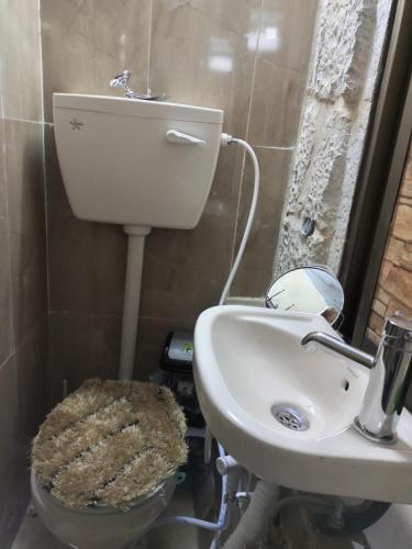 a bathroom with a toilet and a sink at BREAD HOUSE in Bethlehem