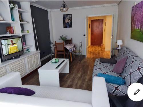 a living room with a couch and a tv at Luminoso piso centrico con vistas al rio en Ezcaray in Ezcaray