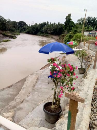 eine Topfpflanze mit einem blauen Regenschirm neben einem Fluss in der Unterkunft Pondok orange FIFA almahera in Binjai